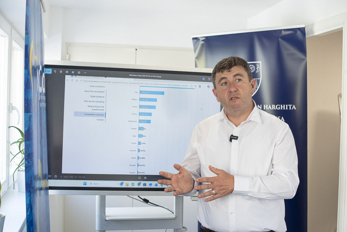 Hétfőig lehet kitölteni a medvehelyzetet is érintő kérdőívet Hétfőig lehet kitölteni a medvehelyzetet is érintő kérdőívet