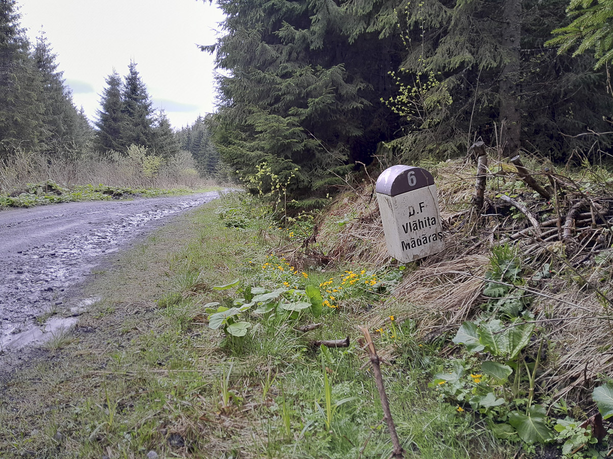 A terv megvan, pénz viszont nincs rá A terv megvan, pénz viszont nincs rá
