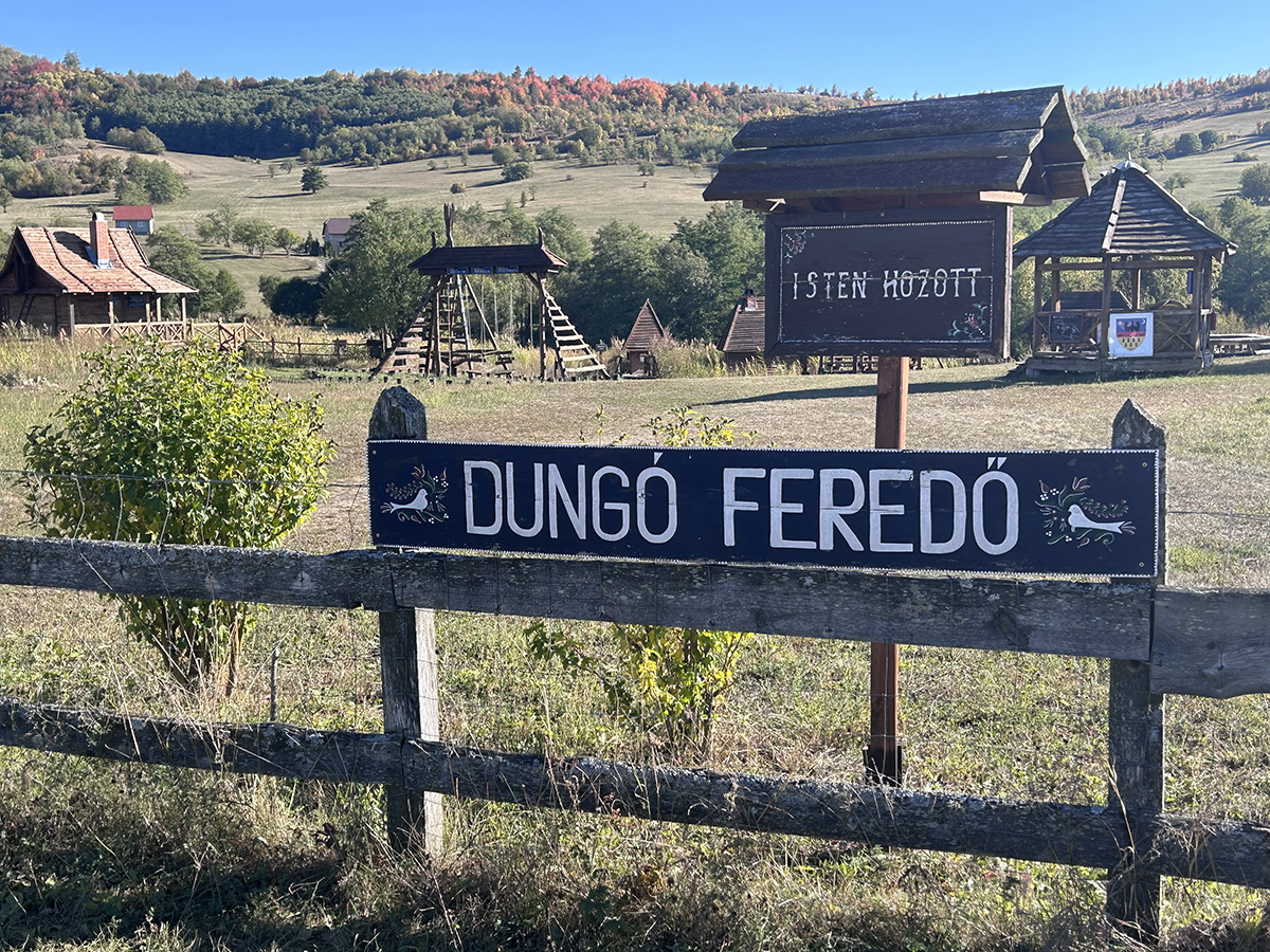 Dungó feredő őszi napsütésben Dungó feredő őszi napsütésben