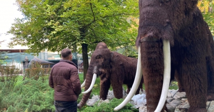 Még néhány hétig tart a banzáj
