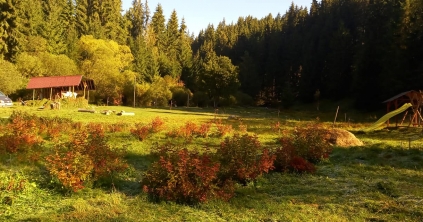 Tanösvény Orotván