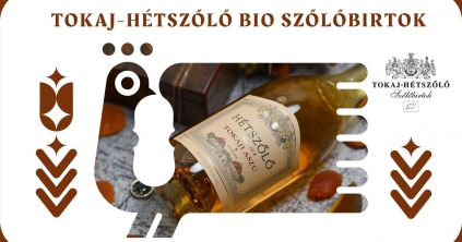 Borkóstoló a Zengő térben