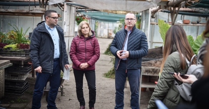 Megszépült közterületek, gondozott zöldövezetek