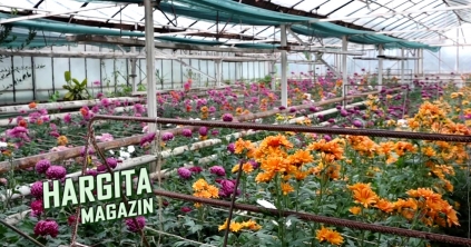 Videó - Hargita magazin 2022. november 30.