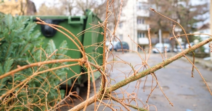 Az Eco-Csík továbbra is arra kéri a lakókat, hogy a kidobott fáikat helyezzék ki a hulladékgyűjtők mellé