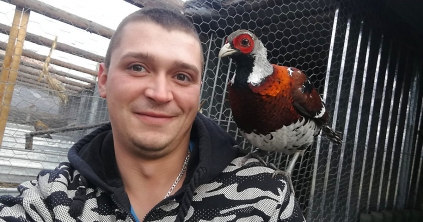 Emberélet madártávlatból