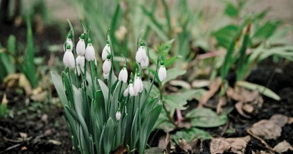 Gardróbvásártól az élő könyvtárig