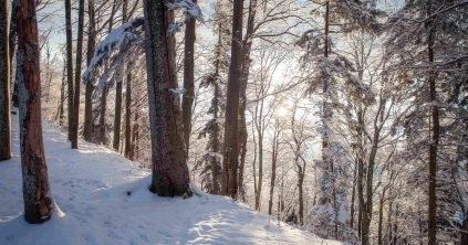 Hamarosan itt a valódi tél – állítják a meteorológusok