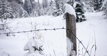Mínusz tíz fok alá süllyedt a hőmérséklet Csíkszeredában