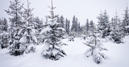 Hóviharokra figyelmeztetnek a meteorológusok