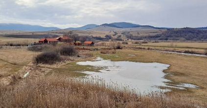 Vigyázz, kész, tavasz!