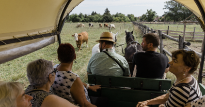 Az Élő Forrás Hagyományőrző Egyesület huszadik születésnapja