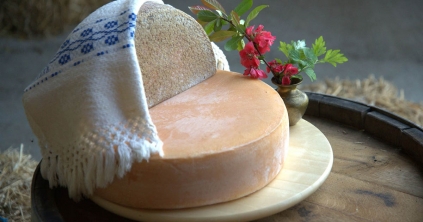 Új penészfajtát fedezett fel  a tudomány Gyimesbükkön