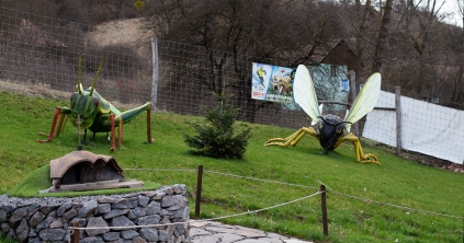 Huszonhat óriásrovar