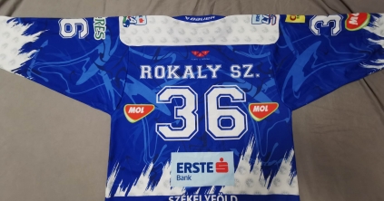 Jótékonysági árverés hokisereklyékre