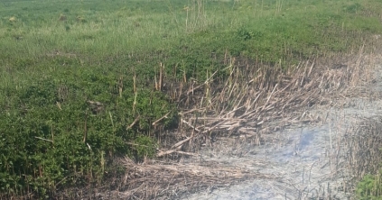 Környezetszennyezés Somotban