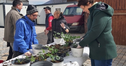 Önállóságra nevelés