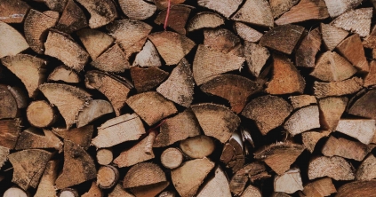 Három köbméter tűzifa miatt bírságoltak a rendőrök Domokoson