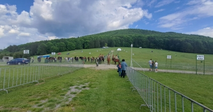 Kétbocsos anyamedve miatt várakoztatták meg a nyeregbe érkezőket Csíksomlyón