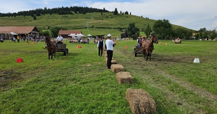 Szekeres ügyességi verseny