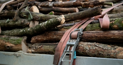 Megbírságoltak két farkaslaki céget jogosulatlan faanyagbirtoklás miatt