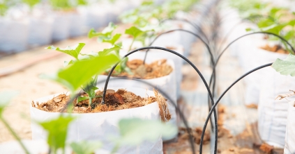 Elérhető a végleges útmutató