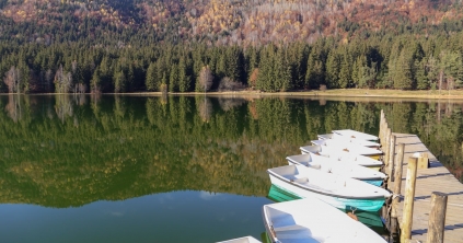 A bürokrácia miatt egyelőre lehetetlen az ezüstkárászok lehalászása a Szent Anna-tóból