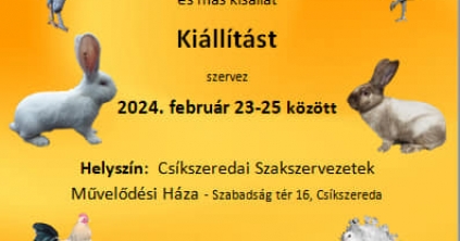 Kisállat-kiállítás