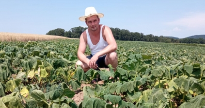 A mezőpaniti testvérpár története