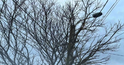 Áramszünet van Csíkszereda néhány utcájában karbantartás miatt