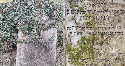 Segített a közösség