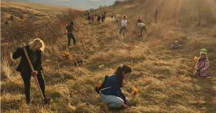 A Transylmagica varázslata