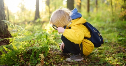 Környezettudatos fiatalok nevelésére kap támogatást több mint száz erdélyi civil szervezet