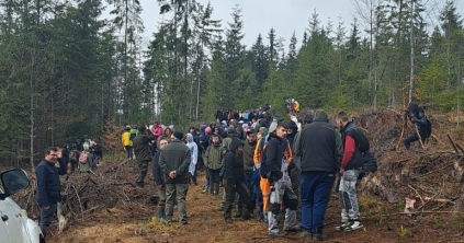 Diákok ültettek facsemetéket a Bucsin-tetőn, az Életet jelentő fák Hargita megyében program keretében