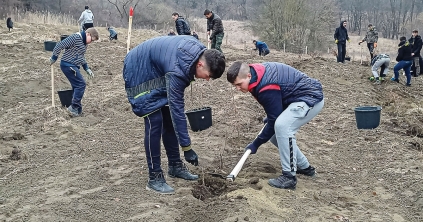Folytatják az erdőtelepítést