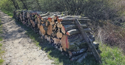 Tűzifát  igényelhetnek