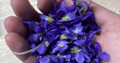 Tavaszi feltöltődés