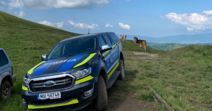 Nyolc bírságot róttak ki Etéden az állatvédelmi törvények megszegése miatt