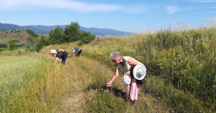 Zöld séta a Providentia Idősek Központjával