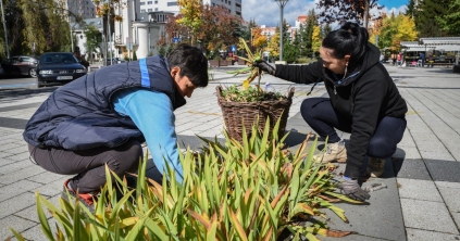 Felhívás a csíkszeredaiakhoz: kérik, segítsenek szebbé tenni lakókörnyezetüket