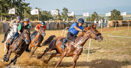 Jól szerepeltek a Hargita megyei versenyzők