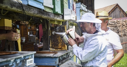 Úgy jó a méhész, ha bogaras