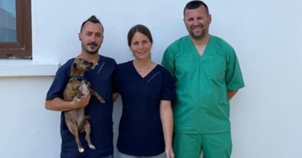 Kevesebben legyenek a menhelyen