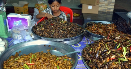 Tarantula a sültrovar-piacon
