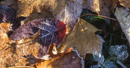 Időjárás: enyhébb és hidegebb időszakok váltják egymást a következő két hétben