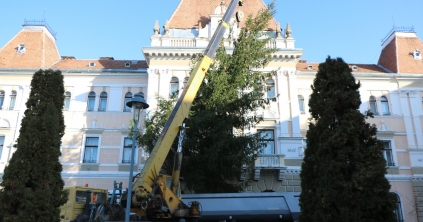 Megérkezett Székelyudvarhely ünnepi karácsonyfája