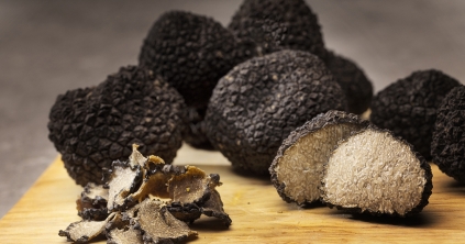 A mogyoró termesztése