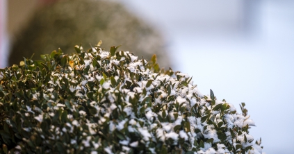 Hegyvidéken heves szélfúvás várható a következő napokban