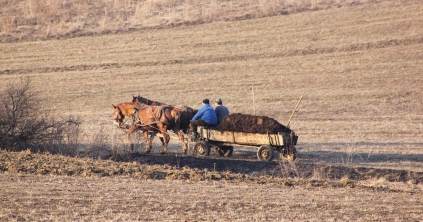 Kulcsfontosságú a jó talaj