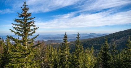Orvosi ismeretek egyszerűen